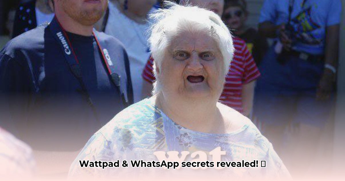wat-is-de-tweede-stad-van-india